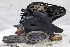 FIAT FIAT Tempra 1997 8i 200592